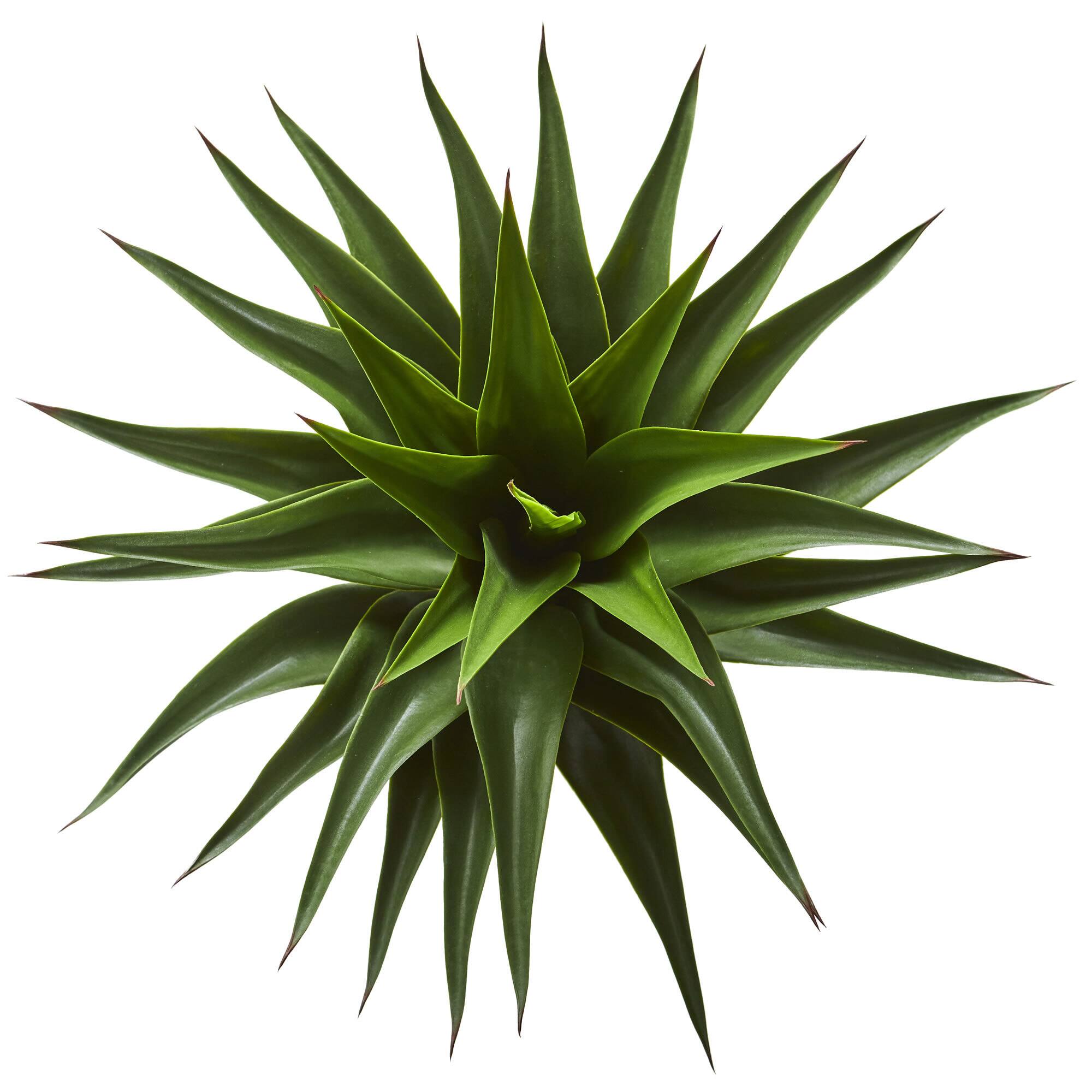 28” Potted Agave Plant